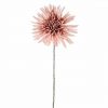 Harmony Dahlia Blush 45cm