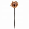 Ava Gerbera Fawn 60Cm