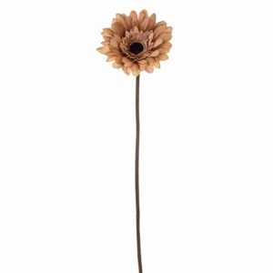 Ava Gerbera Fawn 60Cm