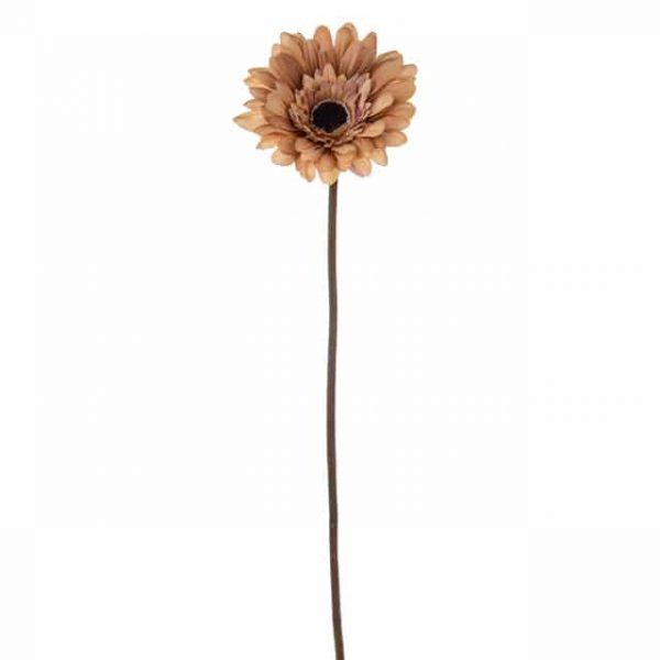 Ava Gerbera Fawn 60Cm