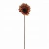 Ava Gerbera Brown 60cm