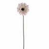 Ava Gerbera Cream 60cm