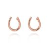 Tipperary Rose  Horseshoe Earrings