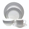 Tipperary Net Design 20 Piece Dinner Set Grey