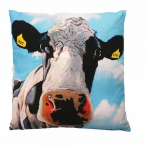 Eoin OConnor 45cm Cushion Tinahely Girl