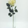 Premium Rose Large Cream