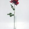 Premium Rose Large Red H:71cm