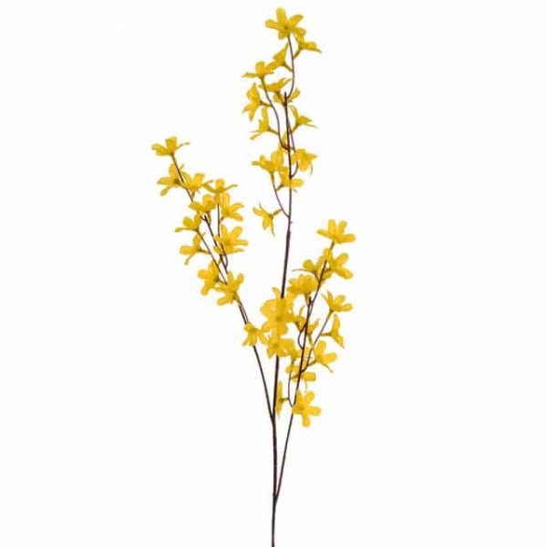 Forsythia Yellow 84cm