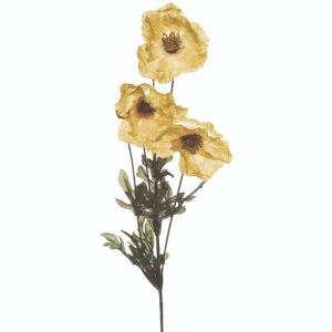 Amber Poppy Yellow 73cm