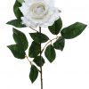 Premium Rose Medium White 69cm