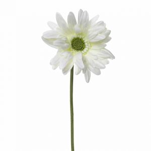 King Gerbera Cream 87cm