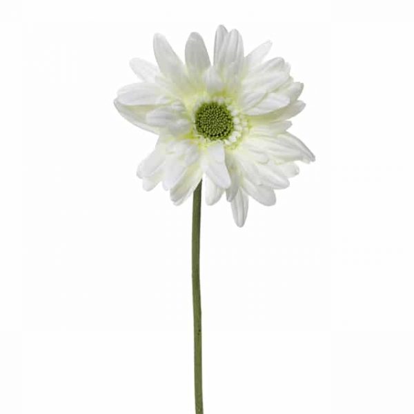 King Gerbera Cream 87cm