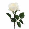 Prize Rose Medium Cream 64cm