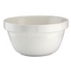 Apollo Stoneware Pudding Basin 700ml