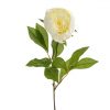 Peony Stem Cream 63.7cm