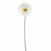 Gerbera White 59cm