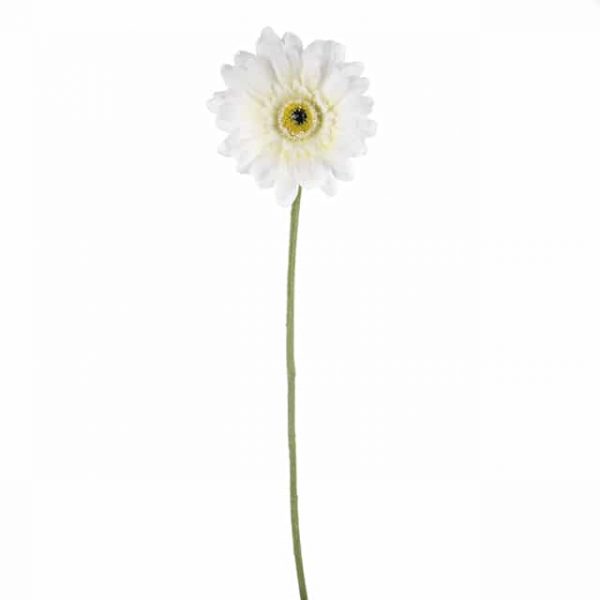 Gerbera White 59cm