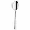 Modern Dessert Spoon