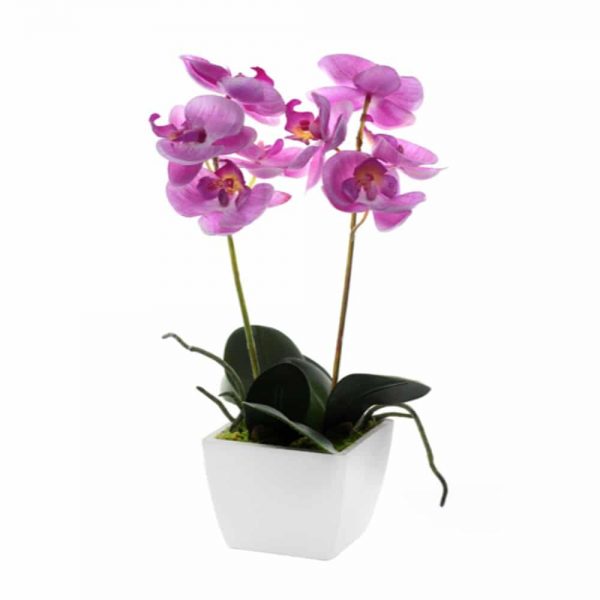 Potted Orchid Mini Pink 33cm