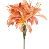 Hazy Days Nerine Apricot 62cm