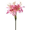 Hazy Days Nerine Pink 62cm