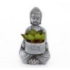 Buddha With Succulent Height 14cm