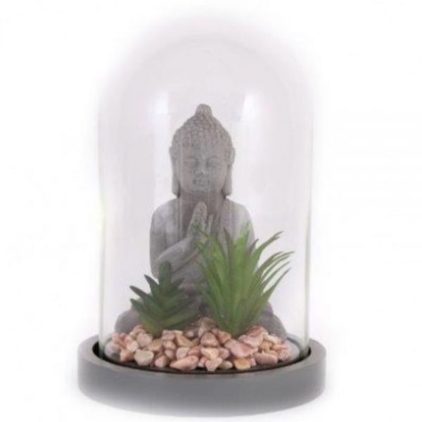 Buddha and Succulents In Dome Height 21cm