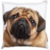 Pug Photo Design Cushion Cover with Insert 50x50cm