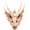 Large Dragon Skull Decoration