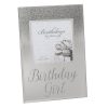 Glitter Frame 4x4 - Birthday Girl