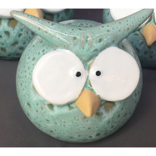 Funny Owl Teal Medium