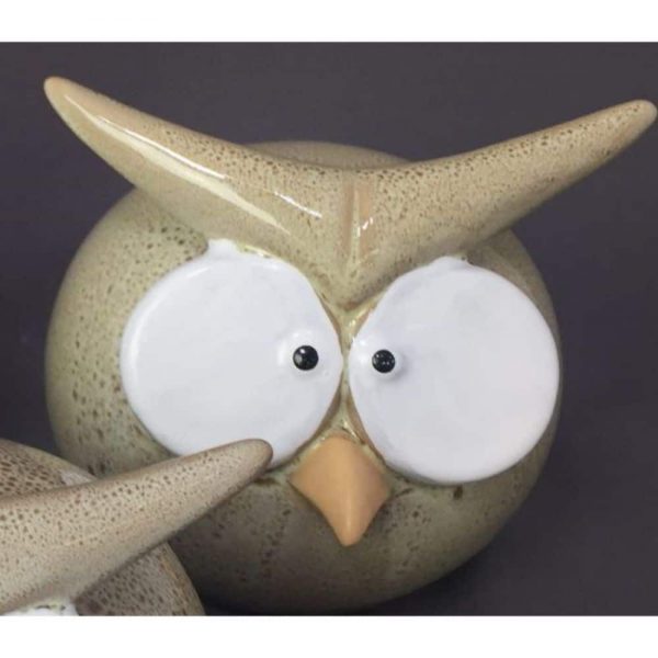 Funny Owl Cream Medium