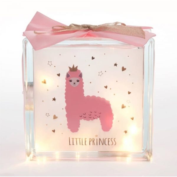 Little Princess Glass Block