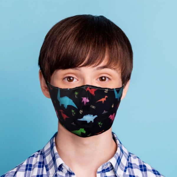 Dinosaur Reusable Face Covering Small