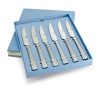 Nova Stainless Steel 6 Piece Steak Knife Set