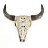 Buffalo Skull Ornament 41x40x11cm