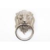 Silver Colour Hanging Lion Head with Ring 38x31cm