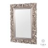 Varina Champagne Wall Mirror