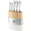 Richardson Sheffield Fusion Knife Block 5PC Set