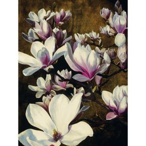 Sarah Caswell Magnolia Silk Canvas Art
