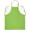 Judge Green Apron