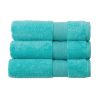 Christy Carnival Towels Duck Egg