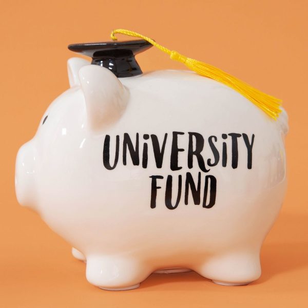Pennies and Dreams Piggy Bank University Fund