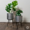 Farah Set of 2 Silver Planters With Stand