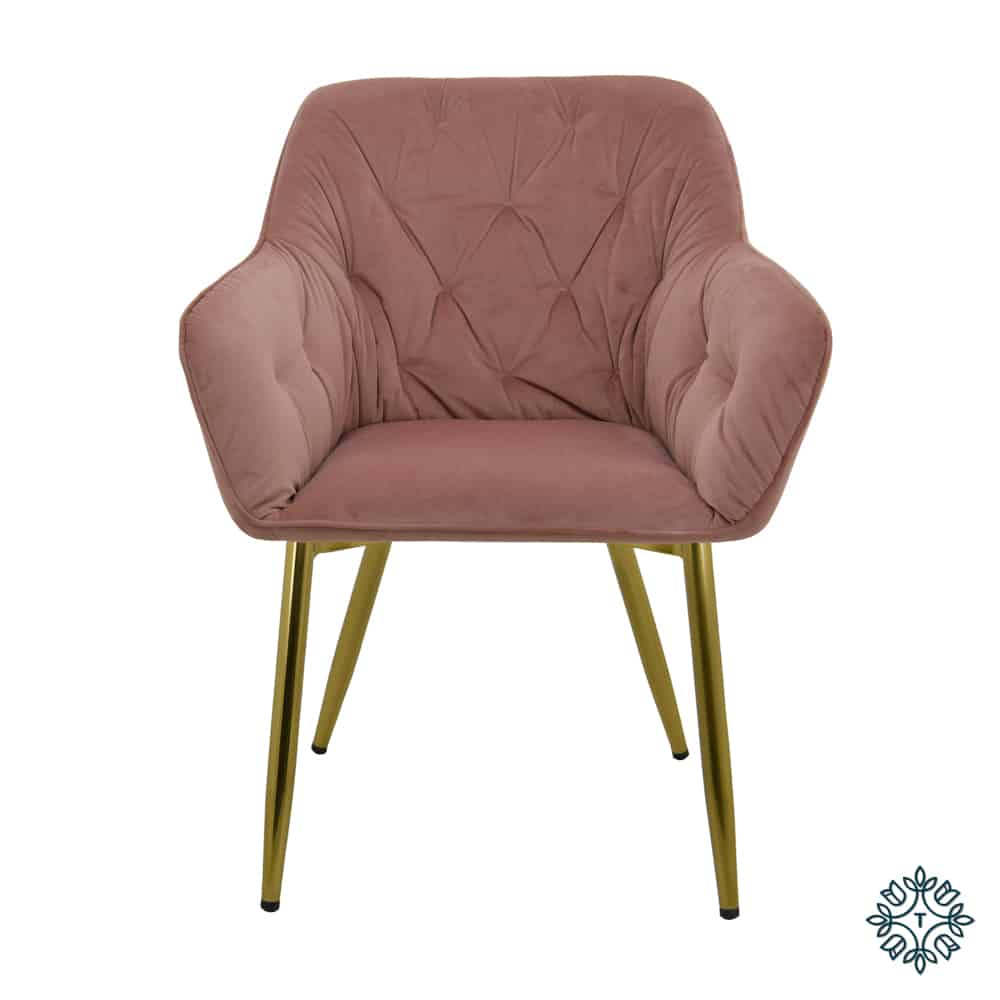 Kylie Velvet Accent Chair Pink - Allens