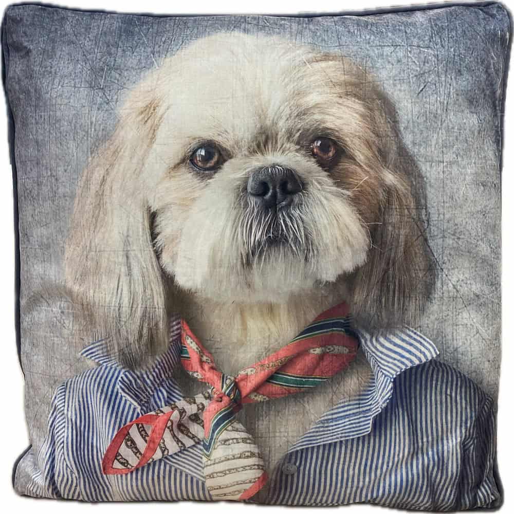 Canine cushion sale