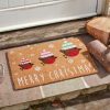 festive robin 40x60cm coir doormat