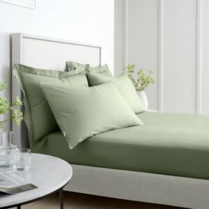 bianca 200tc sage sheet